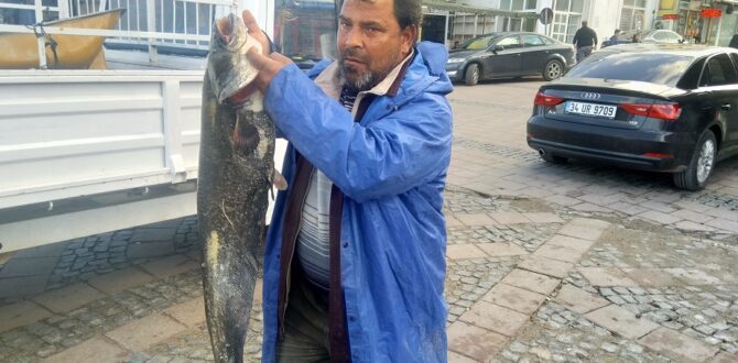 Yaman balıkçı 10 kiloluk yayını avladı