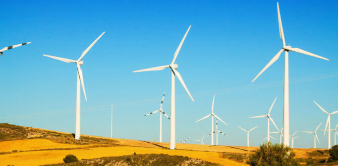 Rüzgar Enerjisi Nedir?